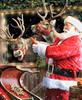 Close up of a wooden jigsaw puzzle featuring Santa laughing as he feeds two reindeer carrots in a snowy stable decorated with Christmas wreaths and garlands, with his sleigh full of toys visible below.