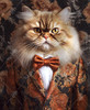 Close up of a Persian cat dressed in a black suit with an orange floral pattern, a white button-up shirt, and an orange bow tie.