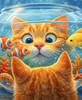 Close up of an orange tabby cat peers into a fishbowl with two clownfish and a dwarf honey gourami, surprised to see its own reflection staring back.