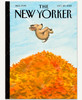 October 20, 2025