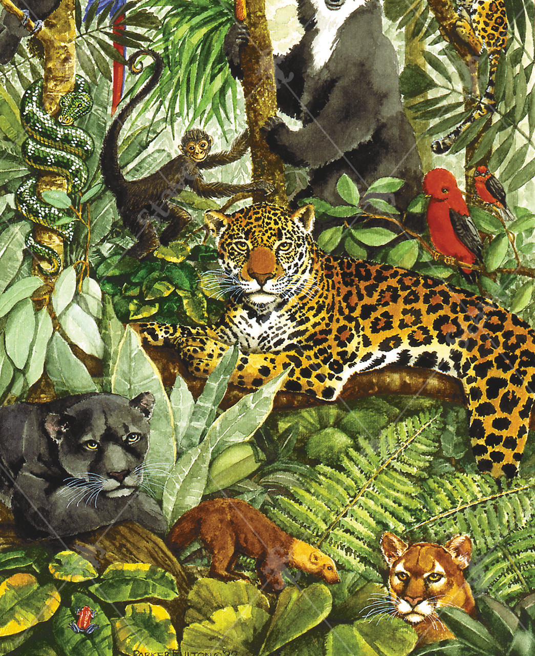 Rainforest Rendezvous, a traditional puzzle - Stave Puzzles