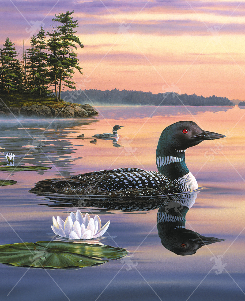 Sunset Loons, a traditional puzzle - Stave Puzzles