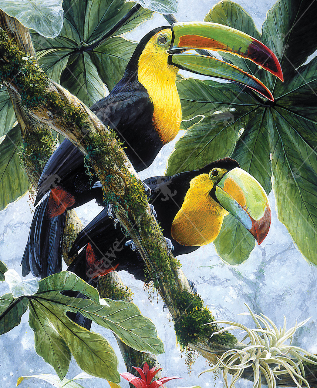 Two Toucans, a traditional puzzle - Stave Puzzles