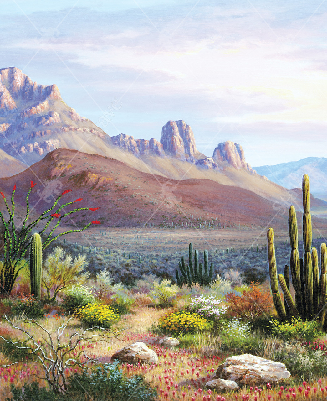 Sonoran Sunset Jigsaw Puzzle | Stave Puzzles
