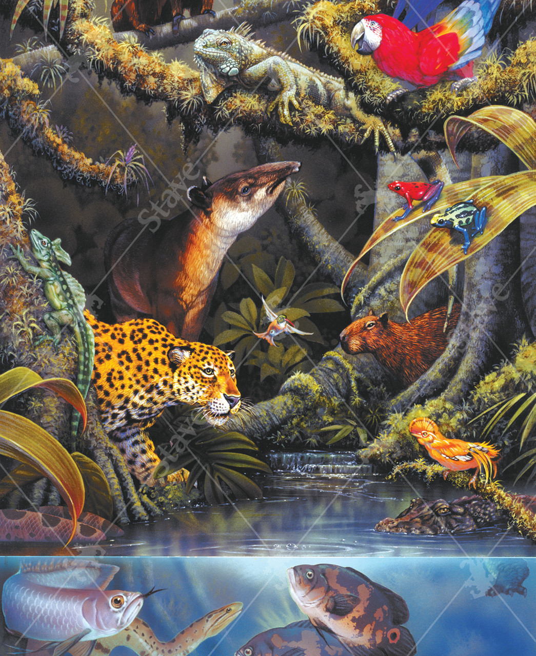 Jungle Fever, a traditional puzzle - Stave Puzzles