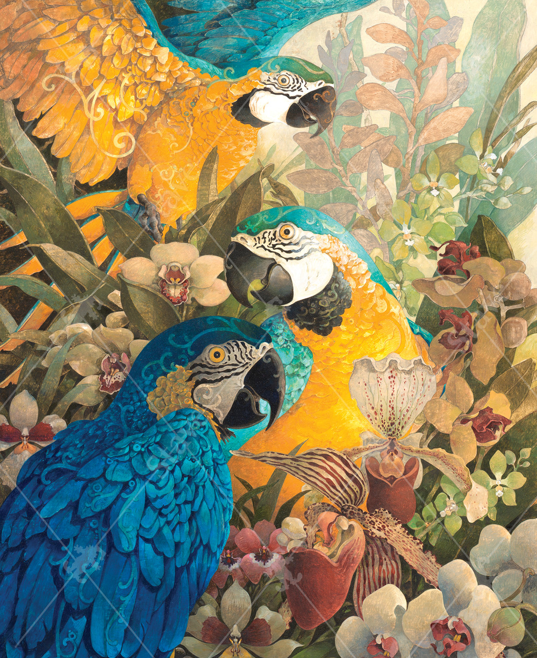 The Amazon Jigsaw Puzzle | Stave Puzzles