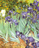 Irises 0