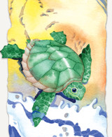 Hatching Turtles 0