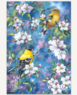 Goldfinch & Blossoms 1 hover