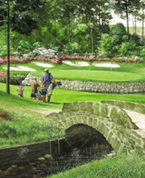 Anywhere On The Green 0