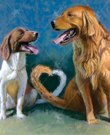  A Love Tail 