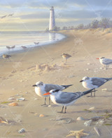  Close up of In With The Tide wooden jigsaw puzzle capturing a scene on the beach with shells and a sand castle laying in the sand as seagulls scavenge around and soak up the sun. Small shrubs follow along the edge of the sand, leading viewers to a lighthouse seen in the distance. 