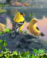  Close up of Songbird Goldfinches wooden jigsaw puzzle showing two goldfinches standing together on a rock accompanied by little white flowers and greenery. Colorful flower bushes and trees thrive by the shore, reflecting their shadows in the water with the pastel hues of the sunset. 