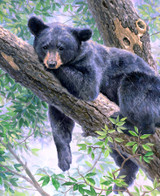  Close up of Thinking Spot puzzle, displaying a black bear cub lounging up in a tree. 