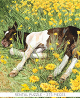  Close-up of Day-zee Days wooden jigsaw, puzzle capturing a young foal resting amongst the wildflowers. Its black and white coat contrasts with the bright yellow flowers and green grass. 