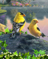  Close-up of Songbird Goldfinches wooden jigsaw puzzle showing two goldfinches standing together on a rock accompanied by little white flowers and greenery. Colorful flower bushes and trees thrive by the shore, reflecting their shadows in the water with the pastel hues of the sunset. 