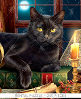  Close-up of The Black Cat in the Moonlight wooden jigsaw puzzle featuring a black cat lying on a table adorned with books, a globe, a map, and a lit candle. Behind the cat, the full moon and stars cast their light through the window. 