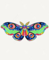  A radiant moth with outstretched wings in vibrant, jewel-toned rainbow colors, and part of its wings dissolve into a starlit night sky. 