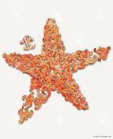 Seaing Stars 1