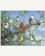  Songbirds In Apple Blossoms, 250 Pieces 
