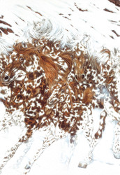 Judy Larson | Banner Top As Description