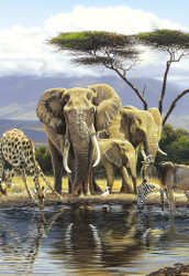 Rick Kelley | Banner Top As Description