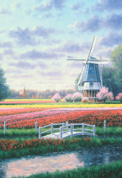 Randy Van Beek | Banner Top As Description
