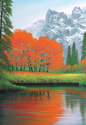 Jon Rattenbury | Banner Top As Description