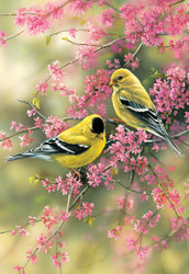 Rosemary Millette | Banner Top As Description