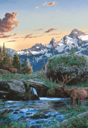 Rod Frederick | Banner Top As Description