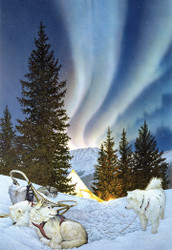 Scott Kennedy | Banner Top As Description
