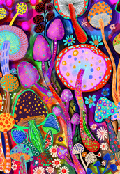 Noemi Ibarz | Banner Top As Description