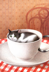 Gürbüz Dogan Eksioglu | Banner Top As Description