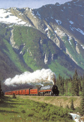 Tucker Smith | Banner Top As Description