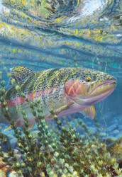 Mark Susinno | Banner Top As Description