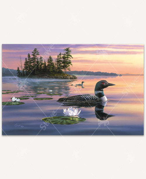 14611_1__57728.1627966029.jpg?c=3