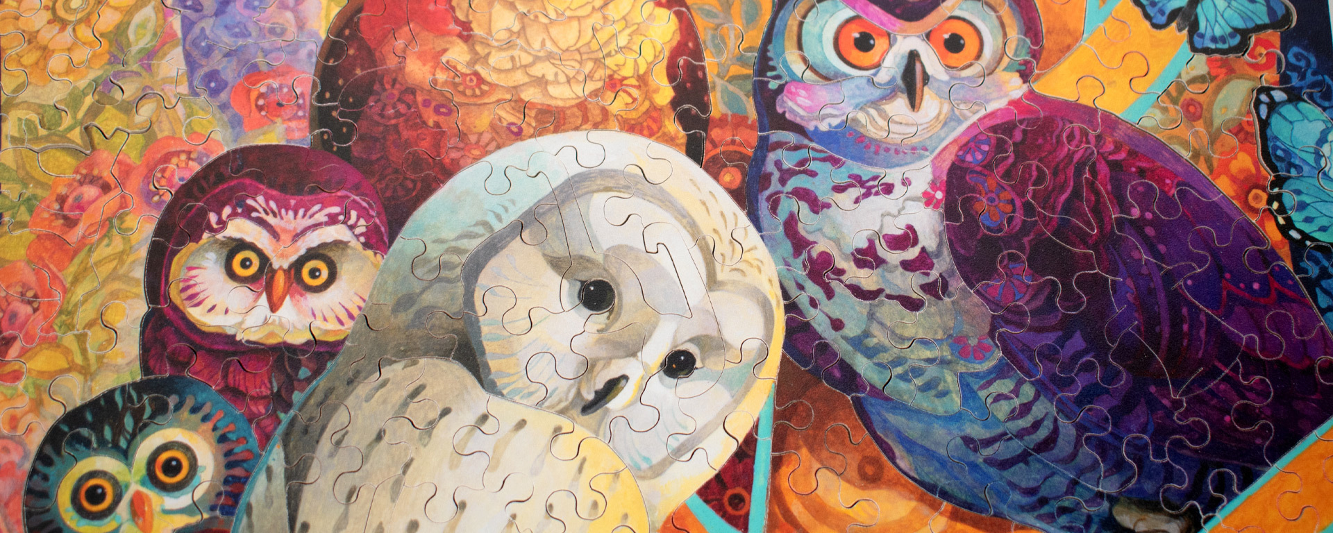 Wooden owl jigsaw puzzle featuring 'Meeting of the Minds' by David Galchutt, depicting a single white owl surrounded by brightly colored, intricately detailed owls.