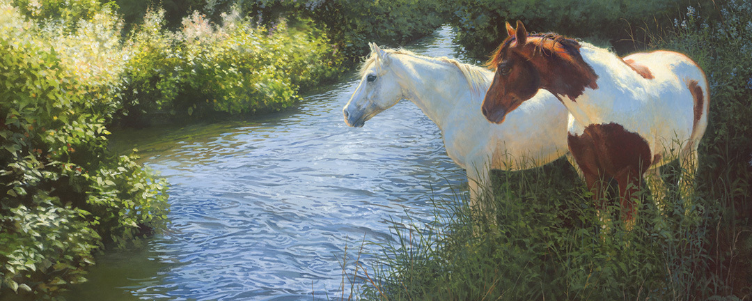 a grey horse and pinto horse standing on bank of stream on a sunlit summer day