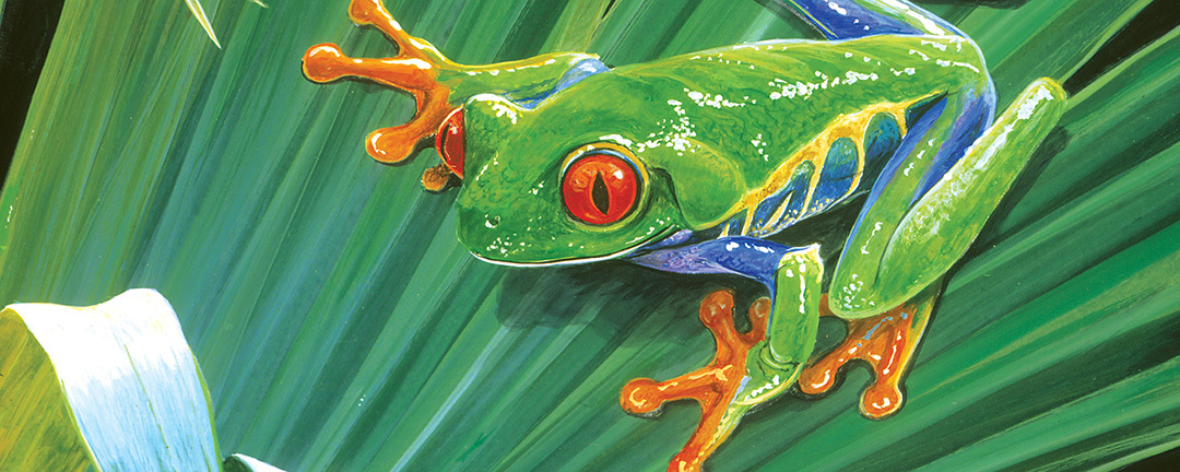 category image
