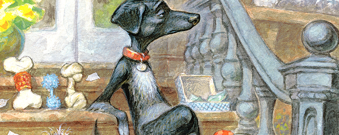 category image