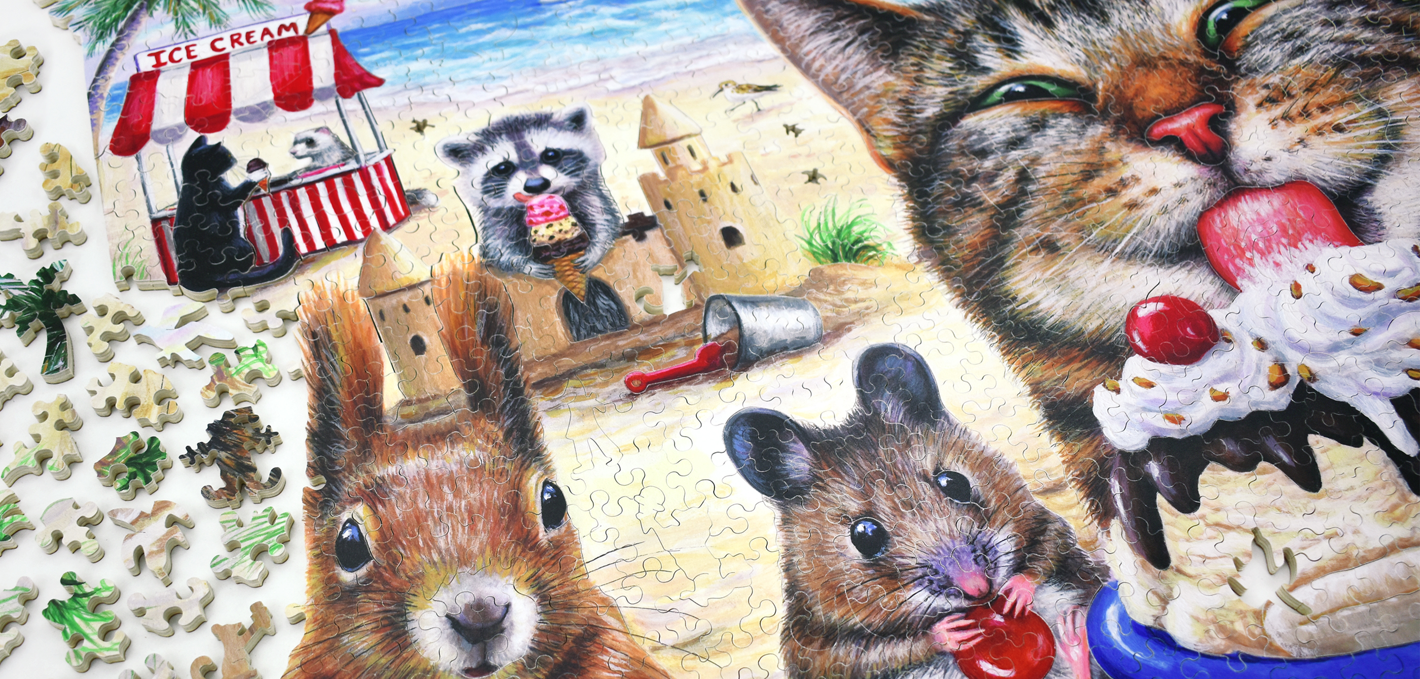 View Our Offers and Specials!