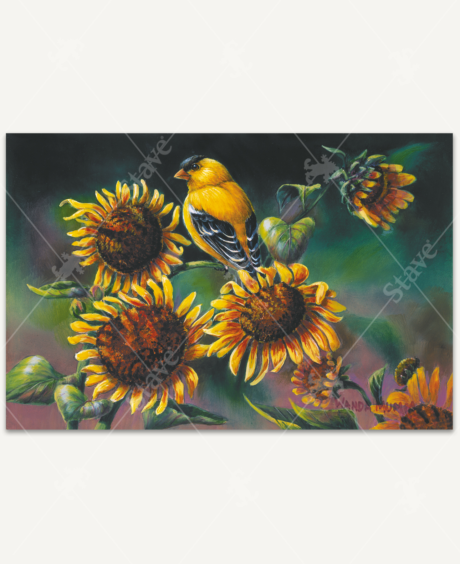 Sunflowers_1