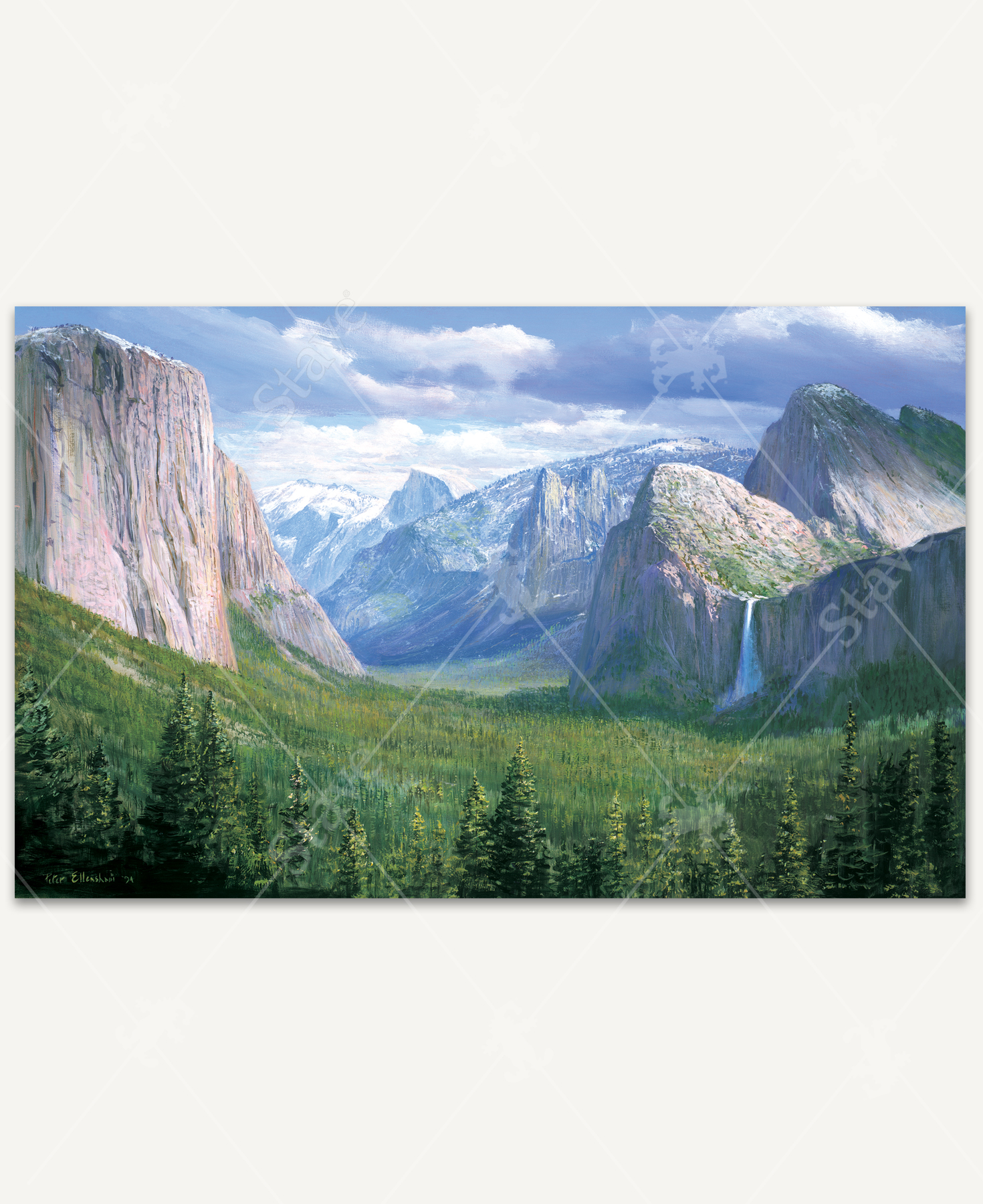 Scenic view of Yosemite Valley featuring towering granite cliffs, snow-capped mountains, and a dense forest of green pine trees stretching across the valley floor.