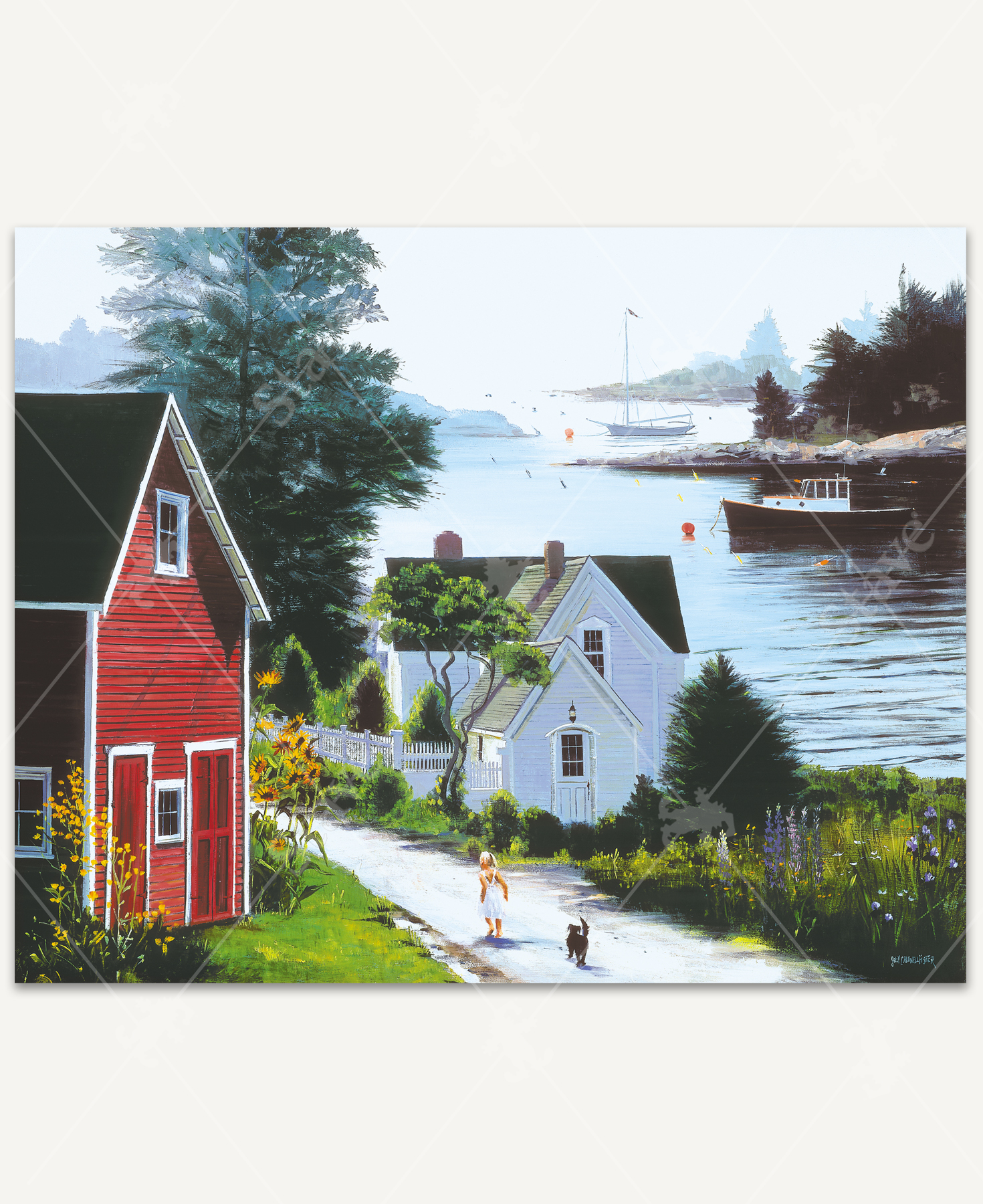 Morning In Christmas Cove_1