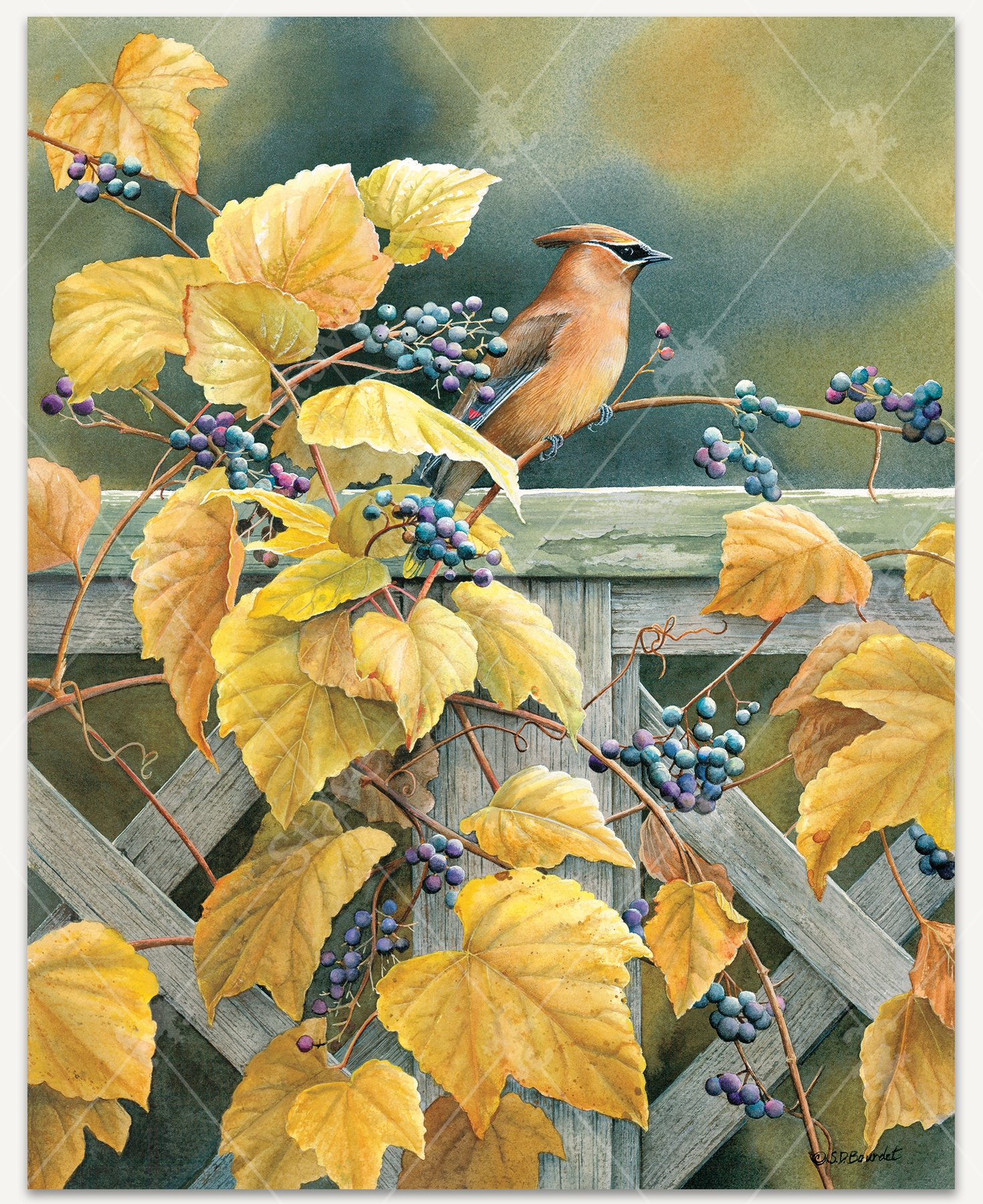 Waxwing Poetic_0