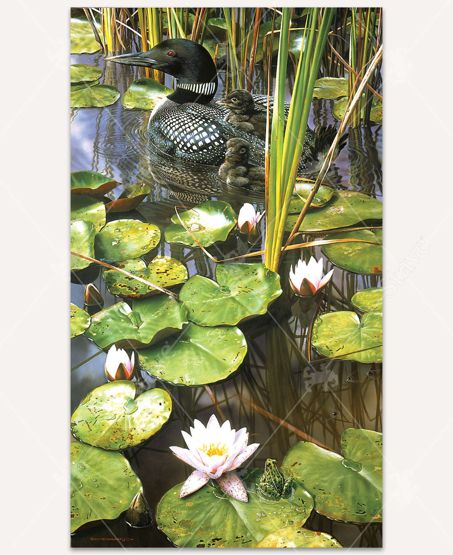 In The Swim Of Things_1