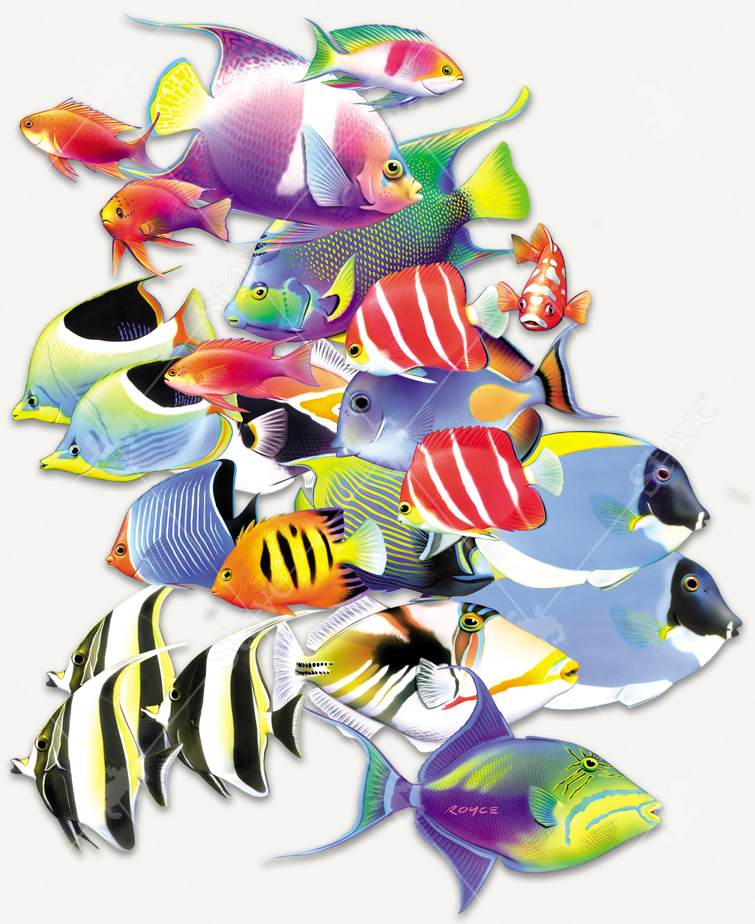 Tropical  3ED 1枚 Tropic Colors, a traditional puzzle - Stave Puzzles