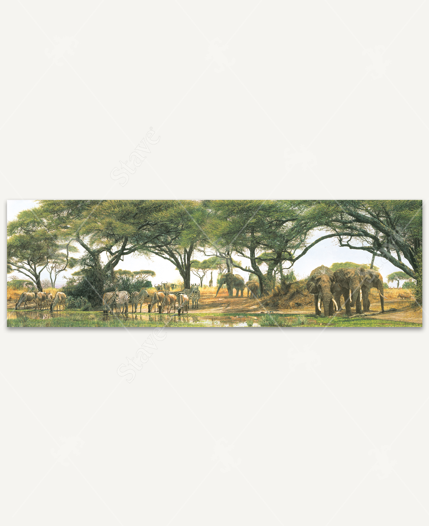 An African Oasis_1
