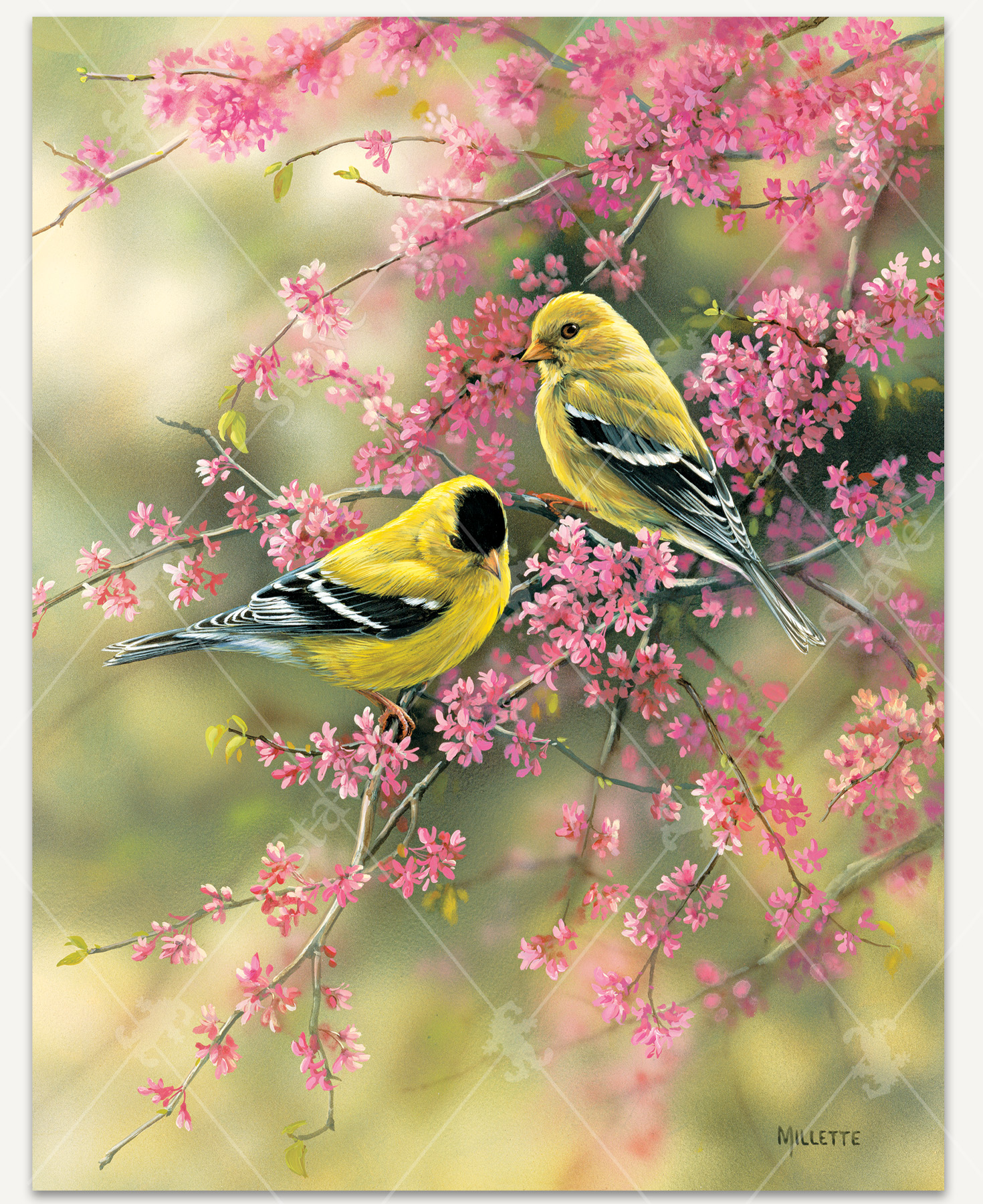 Grandeur Of Spring Jigsaw Puzzle | Stave Puzzles