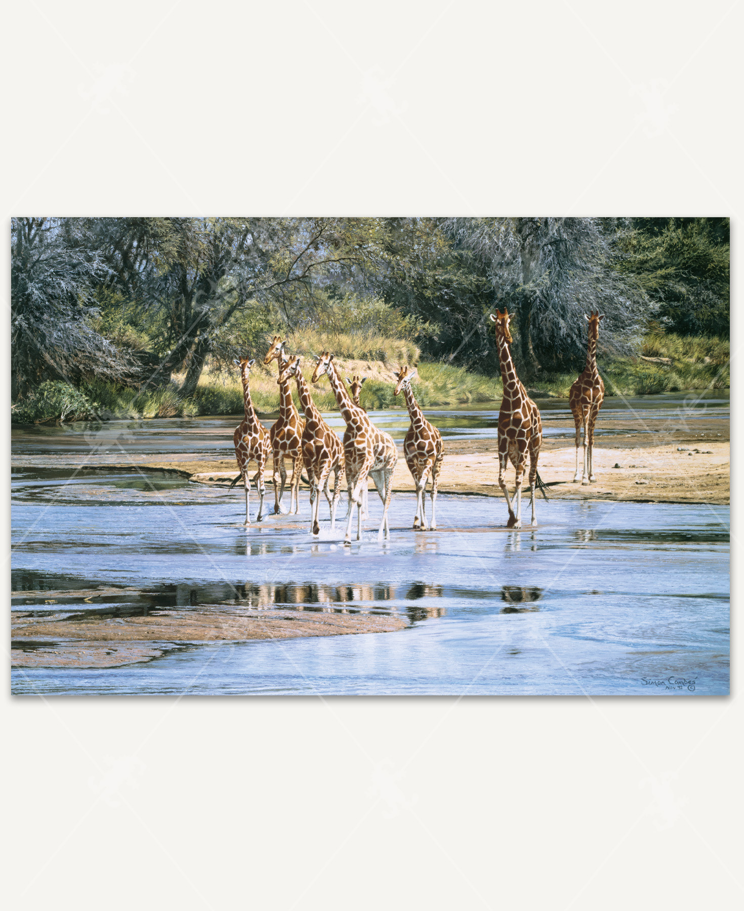 Ripples And Reflections_1